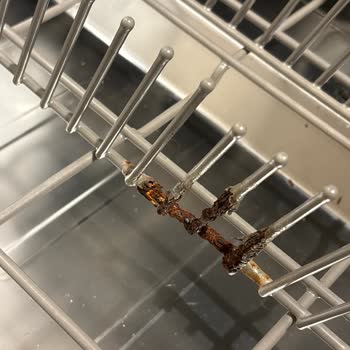 Samsung Bulaşık Makinesinde Paslanan Alt Sepet İçin Ücretsiz Değişim Talebi