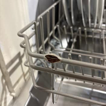 Samsung Bulaşık Makinesinde Paslanan Alt Sepet İçin Ücretsiz Değişim Talebi