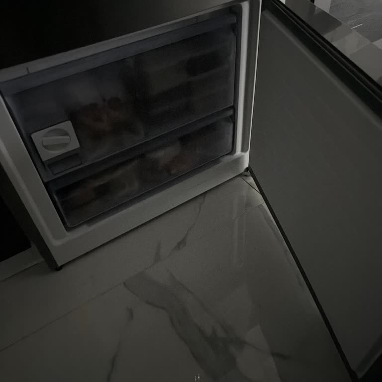 Buzluk Işığı Çalışmayan Profilo Buzdolabı İçin Ayıplı Ürün Şikayeti