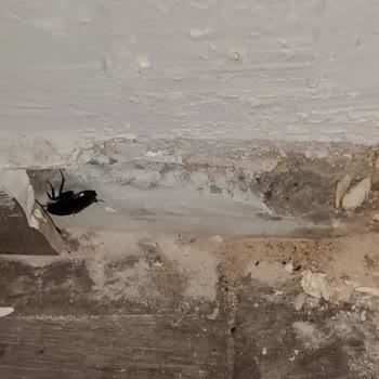 Hijyen Ve Bakım Sorunları Nedeniyle Tesisten Çıkmak Zorunda Kaldık