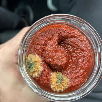 Küflü Salça Ve Yetersiz Müşteri Desteği: Migros Taşdelen Şubesinde Gıda Güvenliği Endişesi