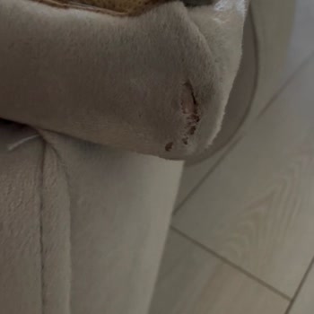 Doğtaş’ta 60.000 TL Değerindeki Yırtık Koltuk Teslimatı Ve İade Reddi