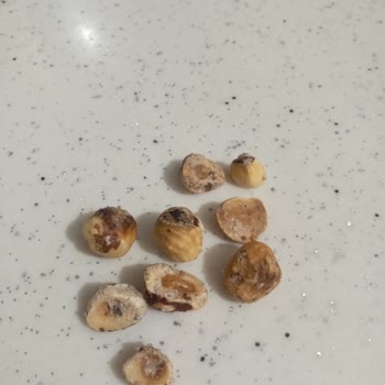 Milhans Gıda'nın Çürük Fındık Ürünü Sağlık Riskleri