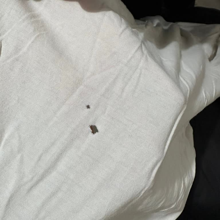 Kıyafetlerde Delik Açan Bosch Çamaşır Makinesi Ücretsiz Garanti Değişim Ve Onarım Talebi