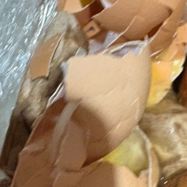 Kırılan Yumurtalar Ve Kavanozlar İçin Tazminat Talebi Ve Personel Uyarısı