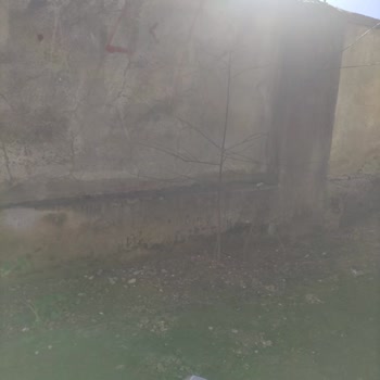 Kargo Paketi Bahçeye Atıldı, Hasar Tutanakları Düzenlenmedi