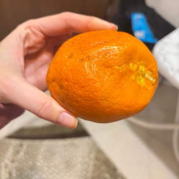 Migros Hemen Siparişinde Bozuk Portakallar Ve Kirli Nuga Ürünü: İade Ve Değişim Talebi