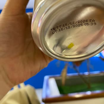 Alkolsüz Malt İçeceğinde Yabancı Tortular Ve Sağlık Riski