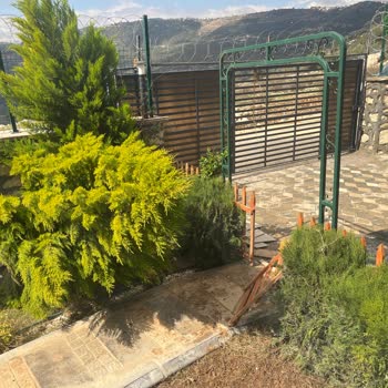 Şiddetli Fırtına Sonrası Ev Hasarı Ve Sigorta Şirketinin Yetersiz Cevabı