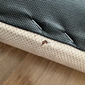 Enza Home Terra Köşe Koltuğunda Sürekli Dikiş Hataları Ve Uzun Tamir Süresi, Ücret İadesi Talebi