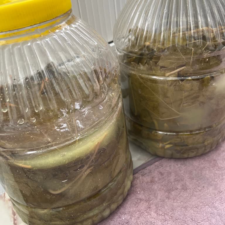 Kalın Salamura Üzüm Yaprağı Gönderildi, İade Talebi