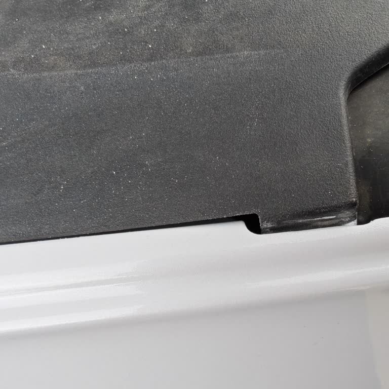 Experimento proceso lento y reparación deficiente en servicio BYD