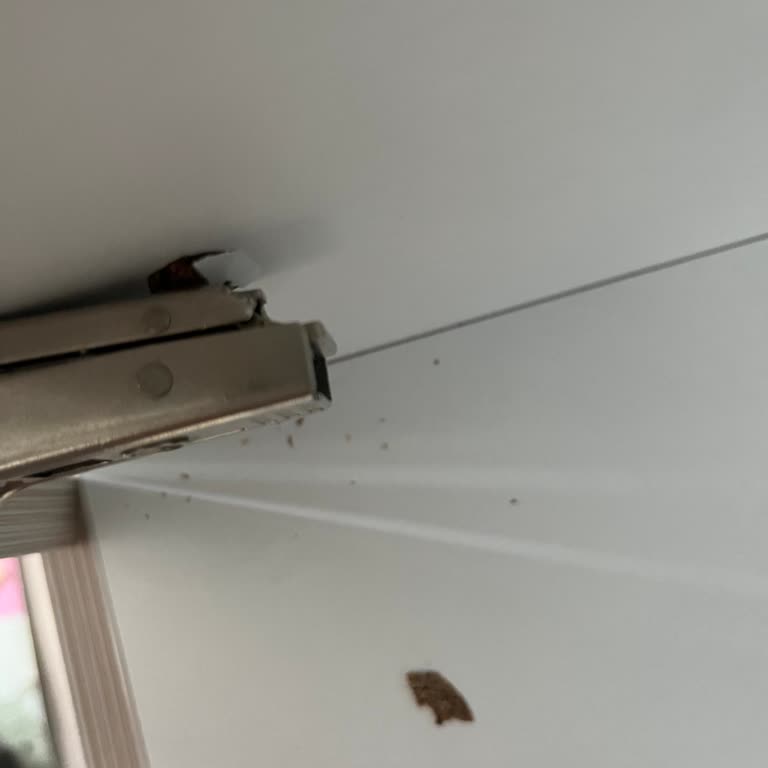 Çilek Mobilya Yatağın Korkulukları 4 Ay Kullanım Sonucu Boyaları Aktı Ve Deforme Oldu