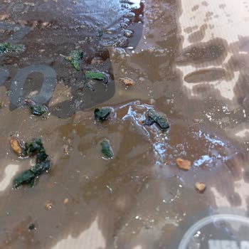 Usta Pideci'de Sağlıksız Yiyecek, Hijyen Eksikliği Ve Yanlış Sipariş