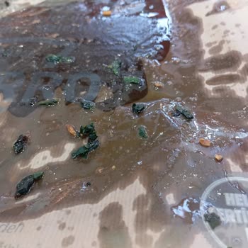 Usta Pideci'de Sağlıksız Yiyecek, Hijyen Eksikliği Ve Yanlış Sipariş