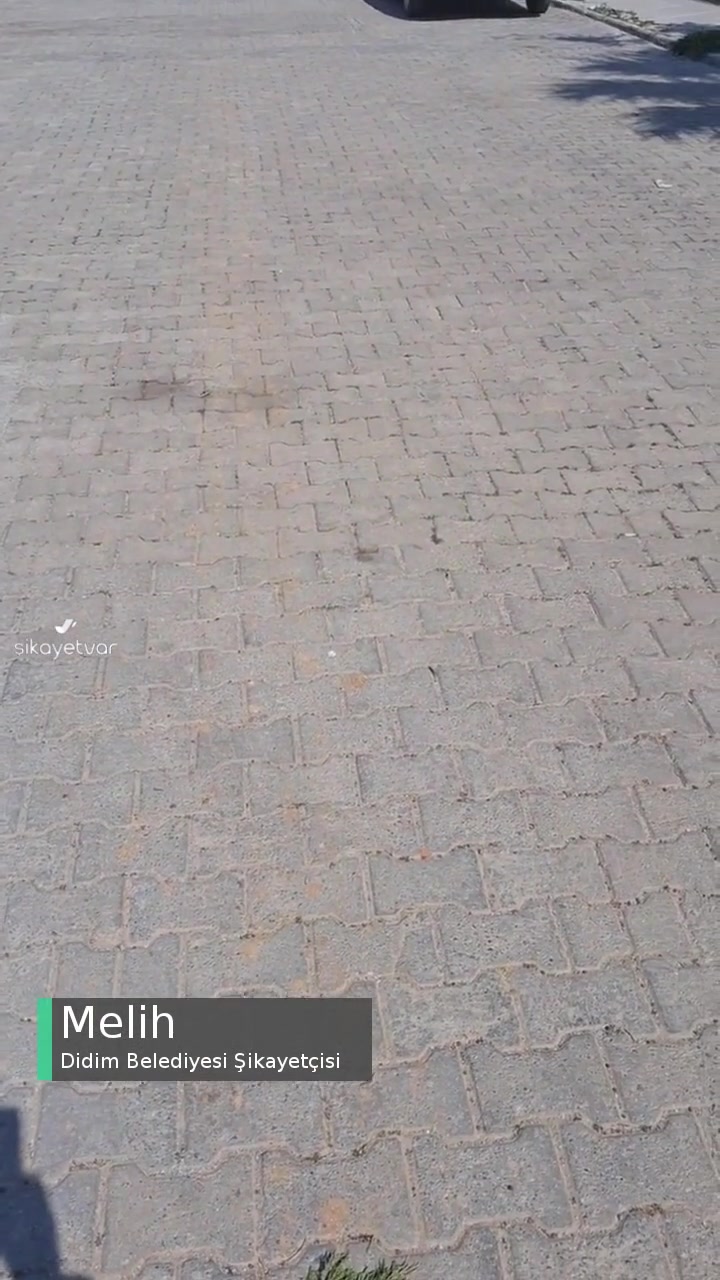 Didim Belediyesi Çöp Konteyneri Eksikliği! videonun kapak resmi