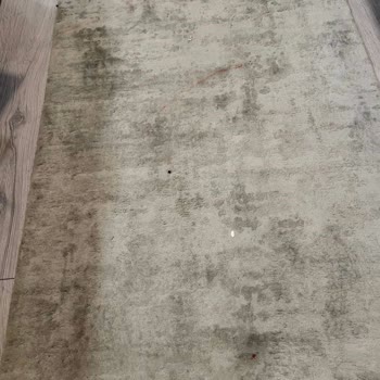 Zin D Home Dudullu Şubesinde Temizlik Ve Personel Tutumundan Şikayet