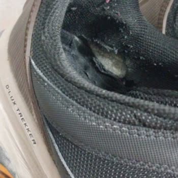 Skechers Ayakkabı Tabanı Çöktü, Mağaza Kullanıcı Hatası İddiası