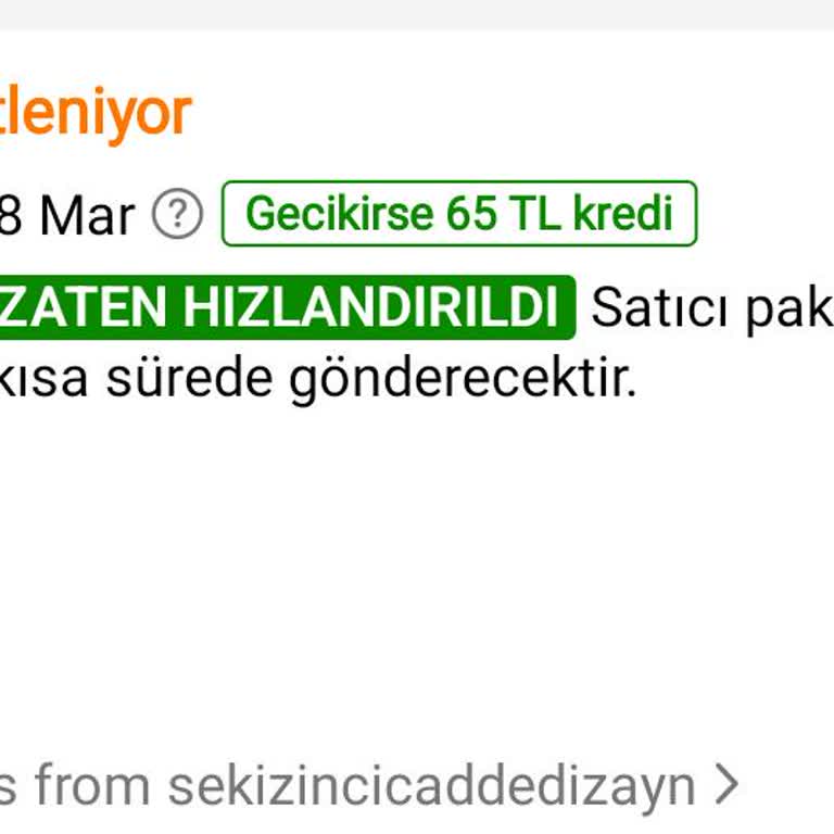 Temu'dan Söz Verilen 2 Gün Teslimat Süresi Aşılmış Ve Sipariş Durumu Hâlâ Paketleniyor