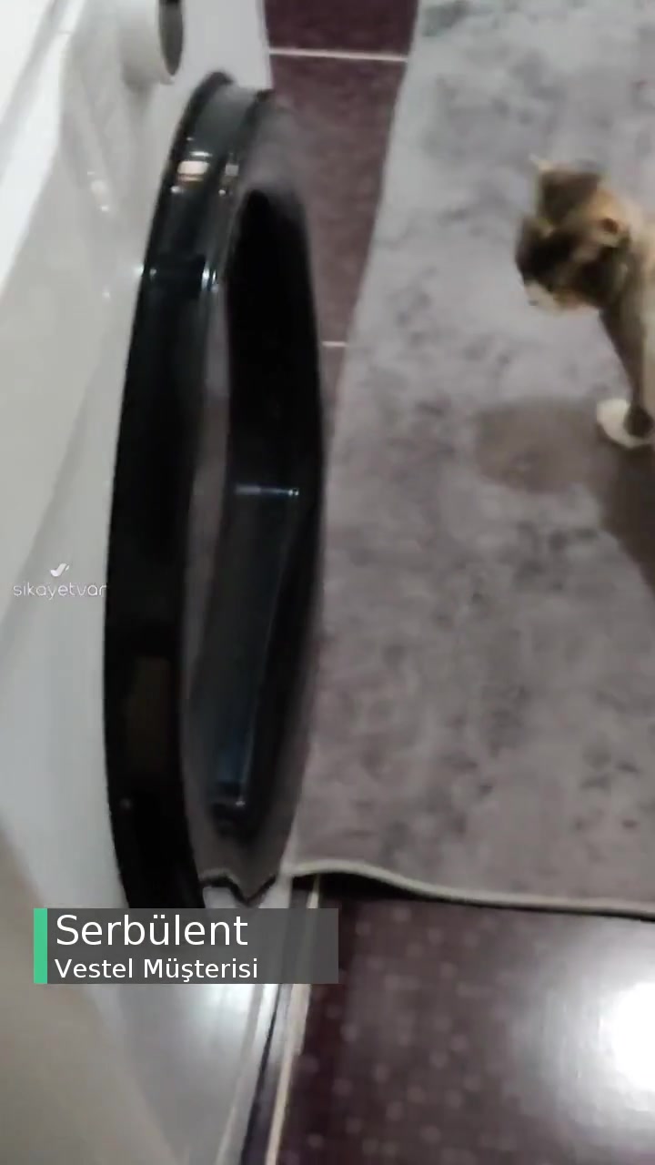 Vestel Kurutma Makinesi Kurulumu videonun kapak resmi