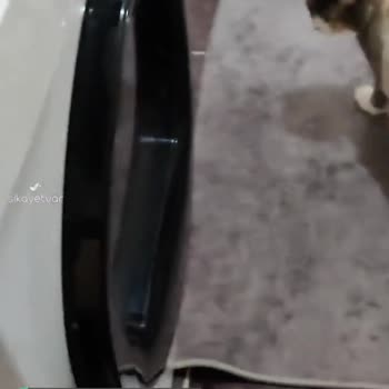 Vestel Kurutma Makinesi Kurulumu
