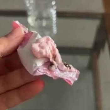 Kent Şeker İçinden Bir Şey Çıkması