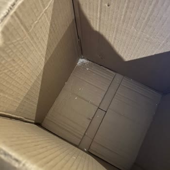 Kırık Cam Sürahi, Müşteri Hizmetleri İlgisizliği Ve İndirim Haklarımın Silinmesi