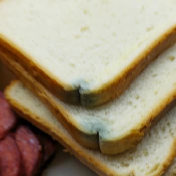 Küflü Tost Ekmeği Satışı Çocuk Sağlığını Tehlikeye Attı