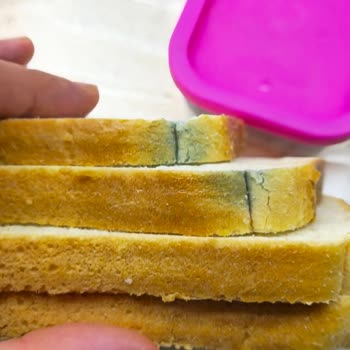 Küflü Tost Ekmeği Satışı Çocuk Sağlığını Tehlikeye Attı