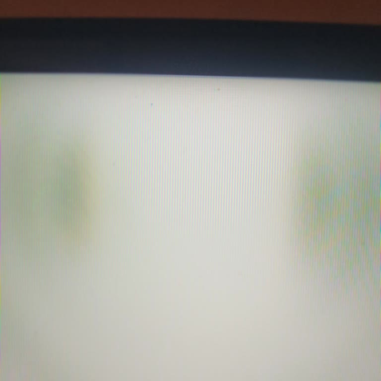 Üç Defa Ölü Piksel Ve Samsung Değişim Reddi