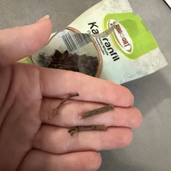 Karanfil Baharatında Tahta Parçaları Bulunması Hijyen Ve Güven Sorunu