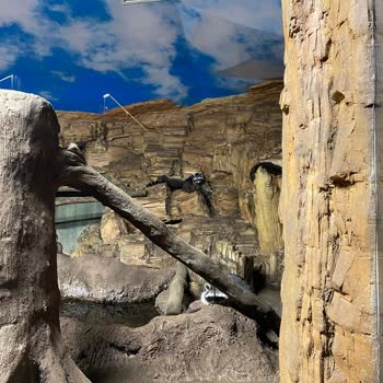 Emaar Akvaryumu’nda Hayvan Refahı İhlali Ve Yanıltıcı Fotoğraf Ücreti