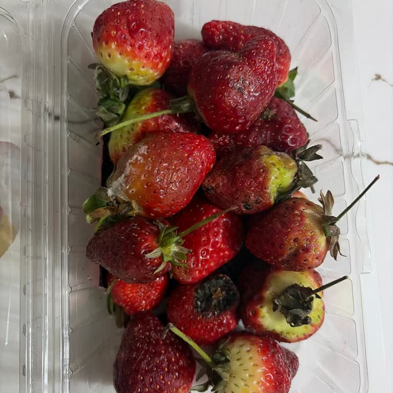 A101 Çileklerin Büyük Kısmının Küflenmiş Ve Bariz Şekilde Bozuk Olduğunu Gördüm