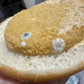 BİM Şubesinde Küflü Hamburger Ürünü Ve Tekrarlayan Hijyen Sorunu