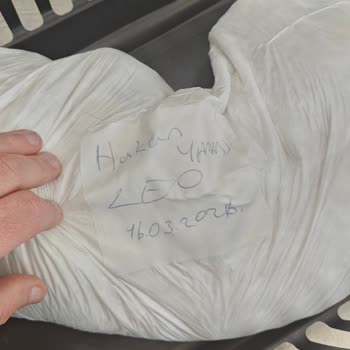 Kedimin Ölümü Ve Bilgilendirme Eksikliği Nedeniyle Hastaneden Açıklama Ve Ücret İadesi Talebi