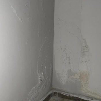 Deprem Konutlarında Su Sızıntısı Ve Yapısal Bozukluklar