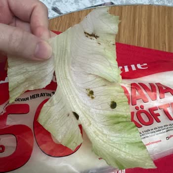 Komagene Darıca Şubesinde Çiğköfteye Toprak Ve Böcek Karışması