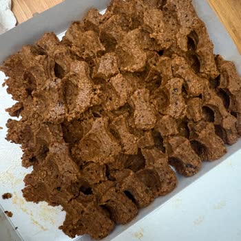 Komagene Darıca Şubesinde Çiğköfteye Toprak Ve Böcek Karışması