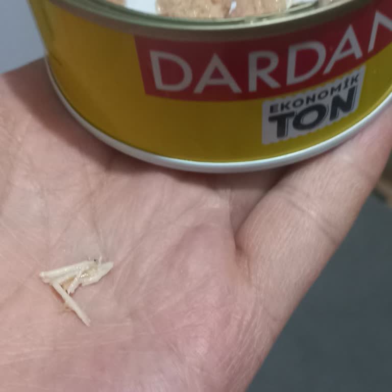 Dardanel Ekonomik Ton Sarı Kutu Ürününün İçinde Kalın Kılçık Çıktı