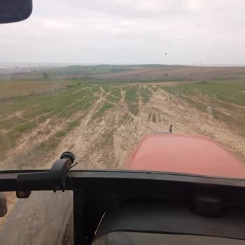 Nufarm Turkey sonra tarlamda bölüm bölüm ciddi zarar oluştu