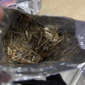 Şok Amigo Siyah Ay Çekirdeği Paketi İçinde Dikenli Yabancı Madde Tespiti