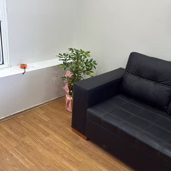 Açıklamadaki Ölçüye Uymayan Şeflera Ve Değişim Reddine Şikayet