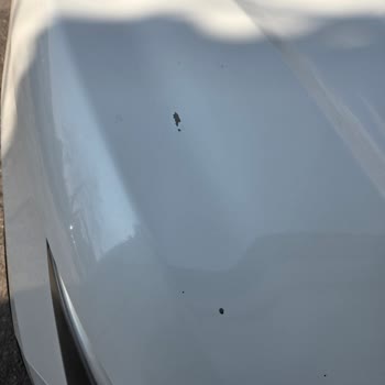 Nissan Qashqai'de Kronik Boya Aşınması Ve Ücretsiz Tamir Talebi