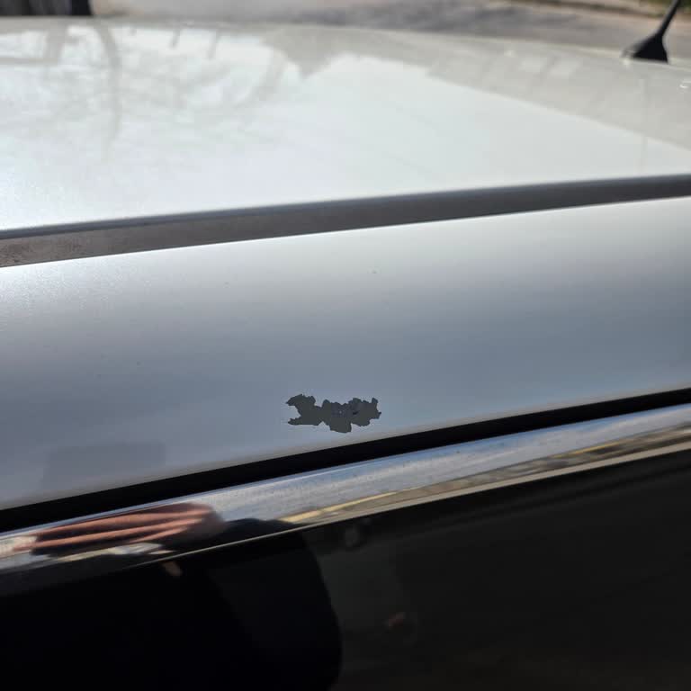 Nissan Qashqai'de Kronik Boya Aşınması Ve Ücretsiz Tamir Talebi