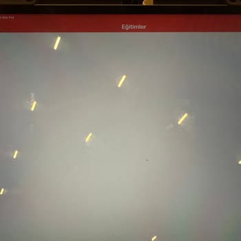 Ödenen Taksit İşlenmedi, Haksız Borç İddiaları Ve Erişim Sorunları