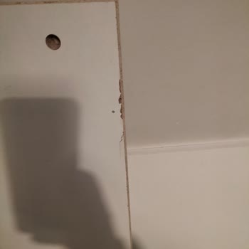 Geciken Teslimat, Eksik Ve Hasarlı Ürün İçin Tam İade Talebi