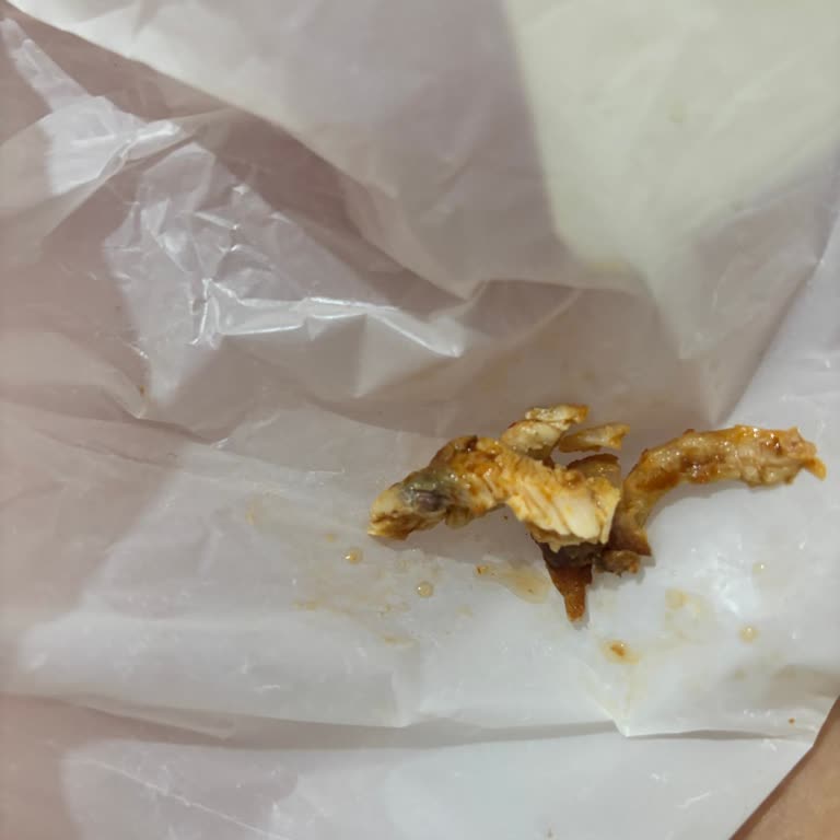 Sağlık Riski Taşıyan Bozulmuş Tavuk Döneri İçin Trendyol GO’dan İade Reddi