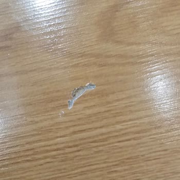 5 Yıllık Garanti Kapsamında 1,5 Yılda Düşen Davlumbaz Ve Ev Zararları