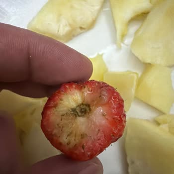 Düzgün Market’te Satılan Meyvelerin Çürük Ve Bozulmuş Olması