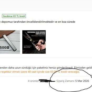 Siparişimin Kargoya Verilmemesi Ve Gecikme Nedeniyle Tazminat Talebi